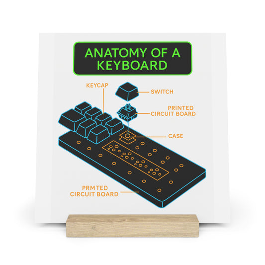 Keyboard Anatomy Gallery Board (with Stand)